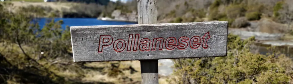 Pollaneset