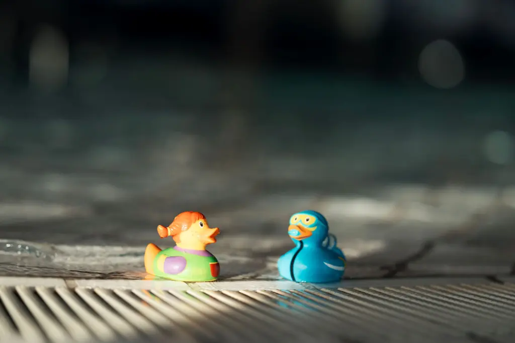 To badeender på bassengkanten Foto: Jostein Vedvik