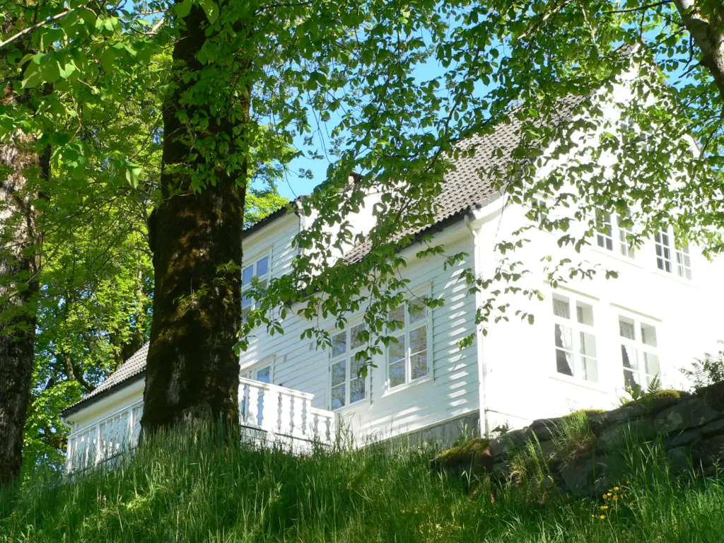 Hvitt stort hus i sola, stort tre foran. Foto